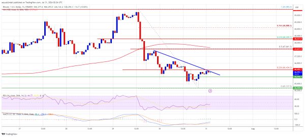 Bitcoin Price Eyes Fresh Gains: Can BTC Climb Again?0