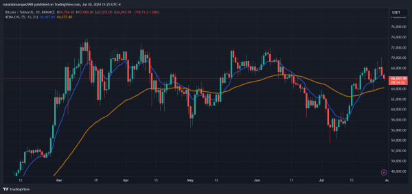 Mt.Gox Creditors Reclaim 59,000 Bitcoin Via Exchanges, More Redistribution Imminent1