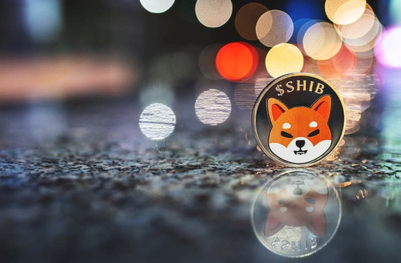 AI predicts SHIB price for August 31, 2024