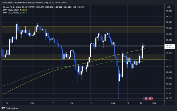 Bitcoin (BTC) Long-Term Holders Locking Consistent Gains: A Sign Of Stability?1