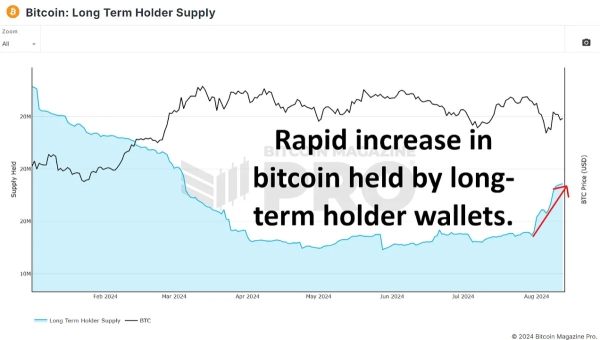 Are Bitcoin Whales Buying The Dip?0