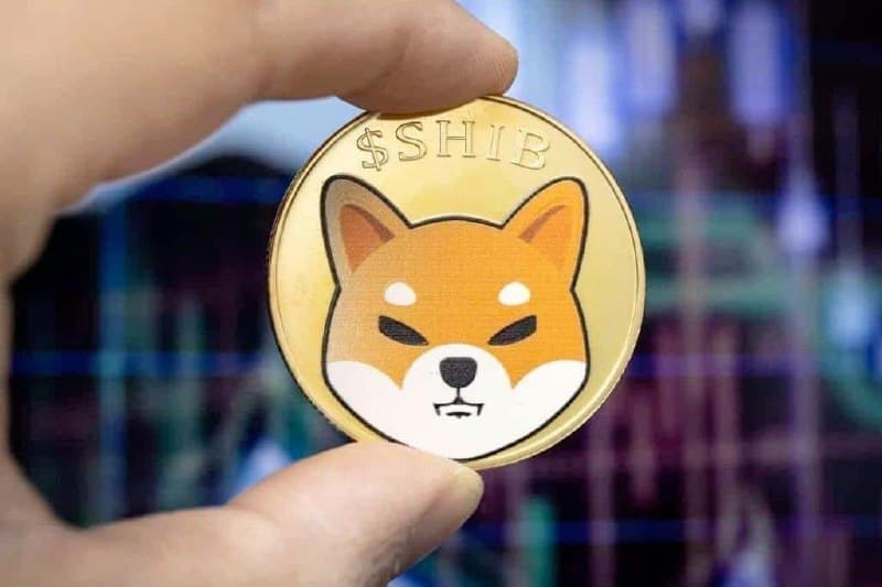 Analyst reveals how high SHIB price can go in the 2025 bull market