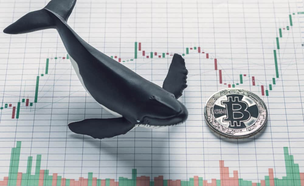 Bitcoin price analysis as whales buy $240 million BTC in a week