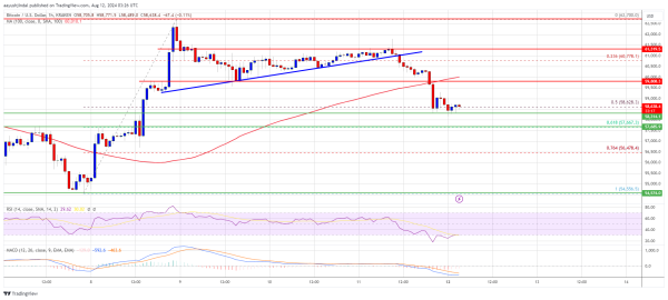 Bitcoin Price Trims Gains: Is the Rally Losing Steam?0