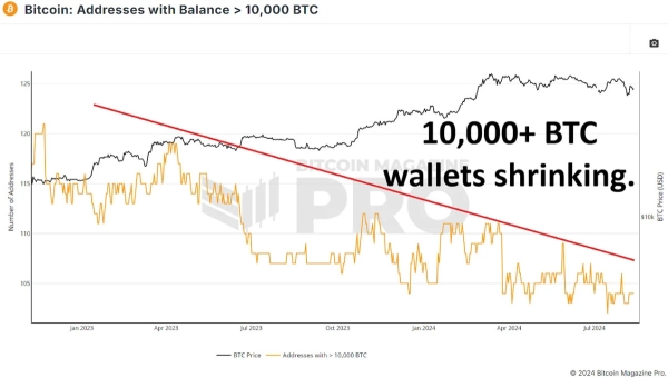 Are Bitcoin Whales Buying The Dip?4