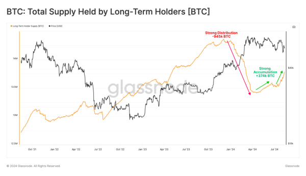 Bitcoin Whales HODL as New Signals Suggest Bull Cycle Is Not Over1