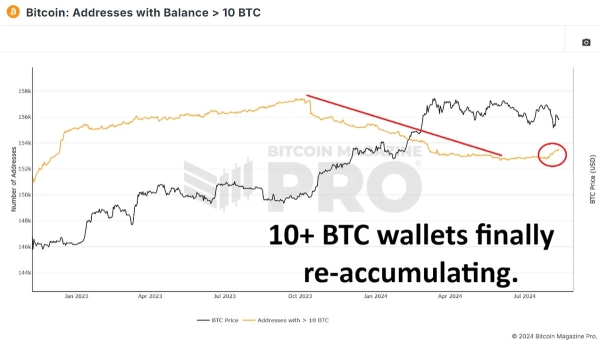 Are Bitcoin Whales Buying The Dip?3