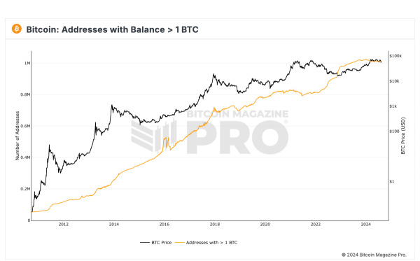 Over 1 Million Bitcoin Addresses Hold 1 BTC or More, Reflecting Strong Adoption0