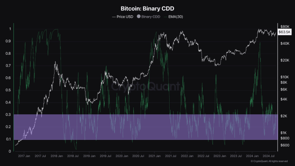 Bitcoin Set for Major Bull Run? These 3 On-Chain Metrics Signal A Turning Point2