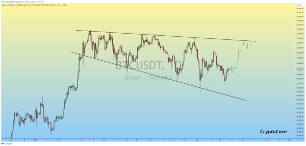 Bitcoin’s Momentum Builds, But Reclaiming $60,000 is Crucial, Says Analyst0