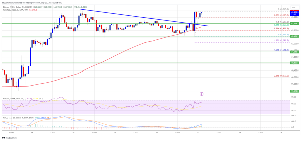 Bitcoin Price Regains Strength: Is a New Rally Brewing?0