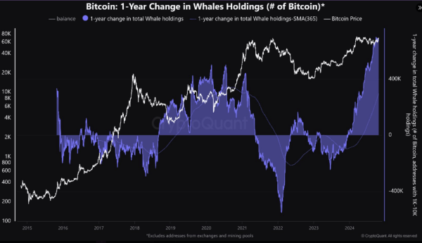 Whales Hit All-Time High Bitcoin Holdings At 670,000 – What Does This Mean For BTC?1