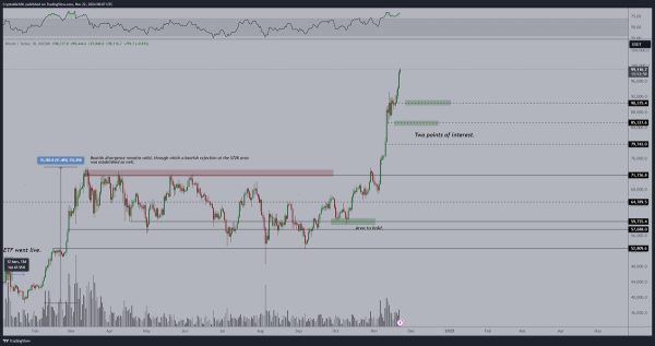 Trader Michaël van de Poppe Says Solana Rival To Explode by Nearly 70%, Updates Outlook on Bitcoin and Ethereum0