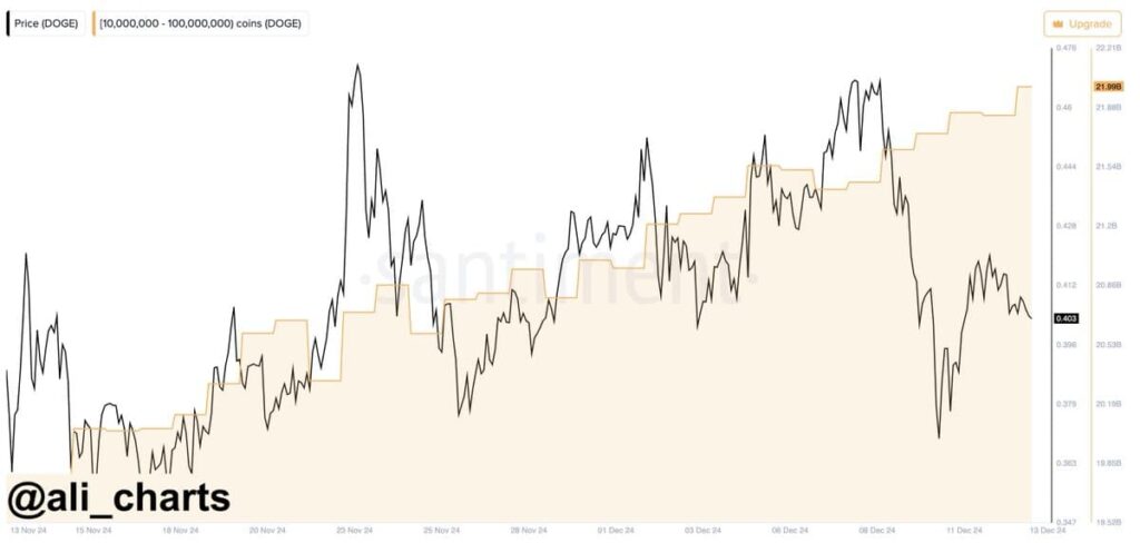 DOGE whale purchase chart. Source: Ali Martinez on X