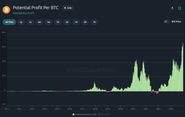 Bitcoin Investors Are Now Up $67,000 On Average – And This Is Just The Start0
