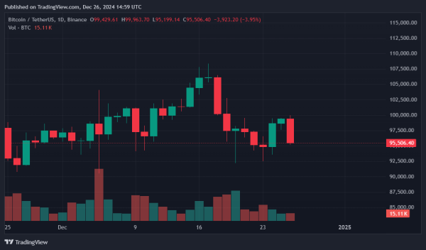 Bitcoin’s X popularity grew 65% YoY in 20241