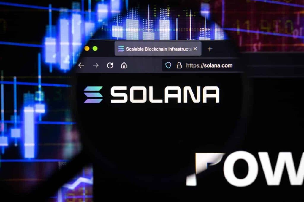 These are Solana's top holders as of December 2024