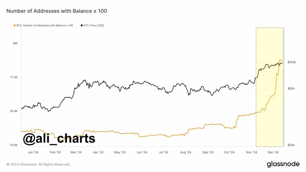 Chart detailing the number of BTC whales. Source: Ali Martinez on X