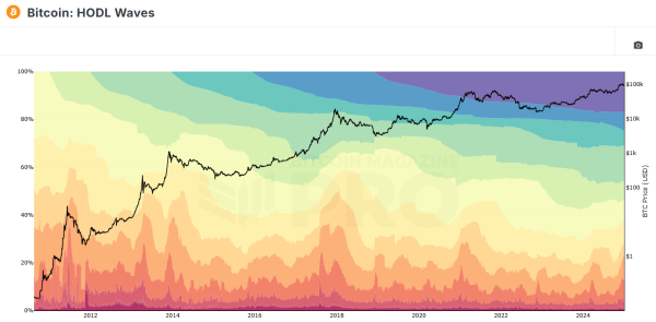 Bitcoin starts 2025 with transfer to a cohort of new short-term holders0