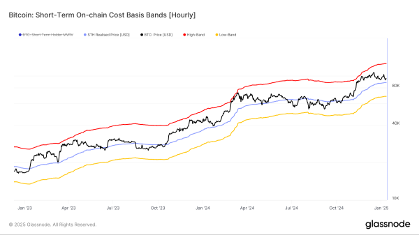 Bitcoin’s Path to $100,000: Waning Short-Term Holder Confidence Signals Reversal0