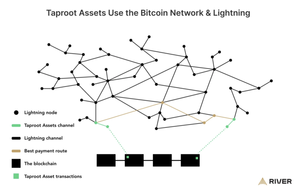 Tether is back on Bitcoin - Lightning Dominance Is Just Starting0