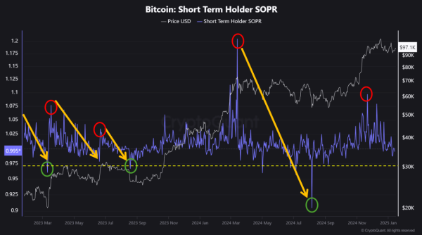 Is Bitcoin’s Upward Cycle Back? Key Insights Into The Latest Recovery0