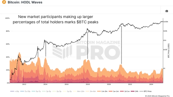 Mastering Bitcoin On-Chain Data3