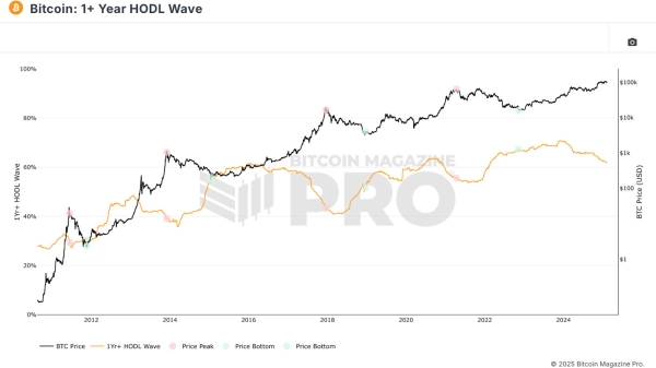 Mastering Bitcoin On-Chain Data2