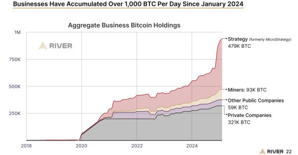 Bitcoin Adoption Rallies as 80% More Public Companies Bought in 2024: Report0