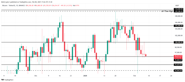 Bitcoin Price Struggles Below $100,000: What This Means for the Next Bull Run2