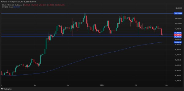 Why Is Bitcoin Price Down Today? BTC Falls Under $91K, Testing November 2024 Lows1