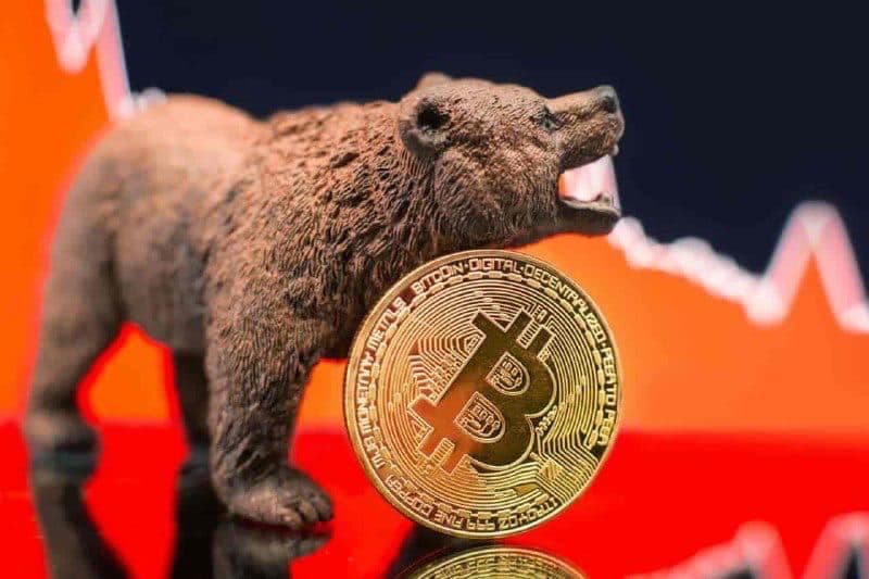 Crypto expert warns Bitcoin bear market has started