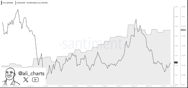Institutional Demand in Bitcoin ETF Is Making BTC Less Volatile0