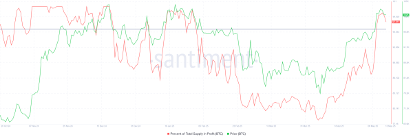 Whales Buy $8.5 Billion in Bitcoin—Can Their Firepower Push Price to $110,000?3