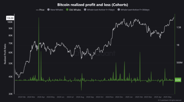 Bitcoin ATH Met With Mixed Whale Reactions – What’s The Market Signal?1