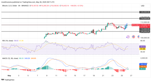 Bitcoin Price Eyes $115K After Major Trendline Rebound0