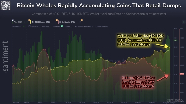 Whales Buy $8.5 Billion in Bitcoin—Can Their Firepower Push Price to $110,000?4