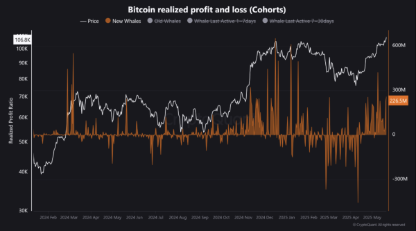 Bitcoin ATH Met With Mixed Whale Reactions – What’s The Market Signal?0