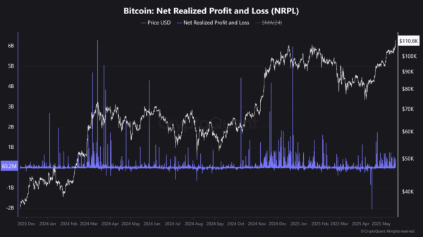 Bitcoin ATH Met With Mixed Whale Reactions – What’s The Market Signal?2