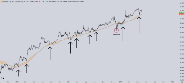 Bitcoin’s Dominance Could Kill Altseason Dreams, Analyst Warns0