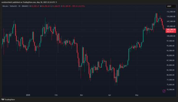 Bitcoin Must Reclaim $106,000 Resistance To Avoid Further Crash – Analyst1