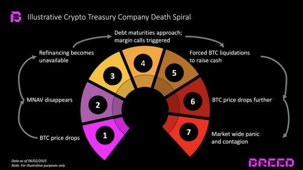 Not all Bitcoin holding firms will avoid death spiral, new report says2