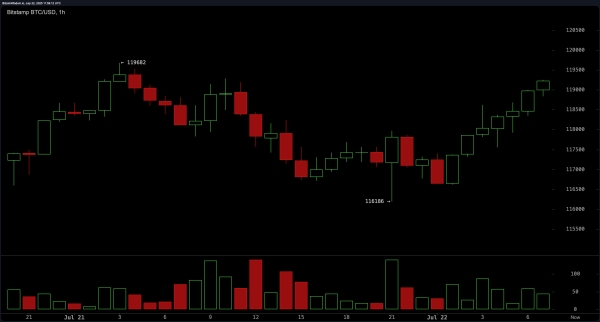 Bitcoin Price Watch: Short-Term Rally Holds Above $119K With Bullish Momentum2