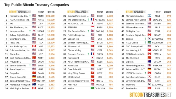 Will Bitcoin Treasury Companies Kickstart the Next Crypto Bear Market?0