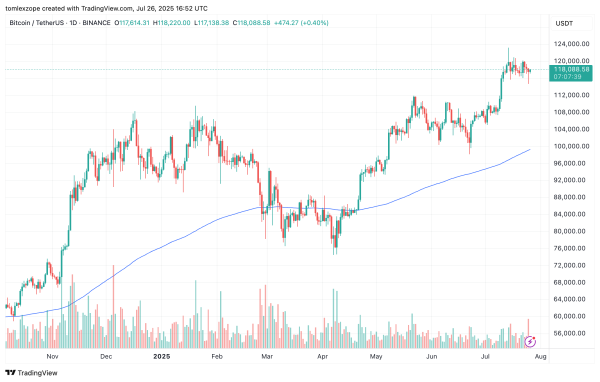 Bitcoin Price Holds Above $115,000 — Here’s Why This Level Is Significant1