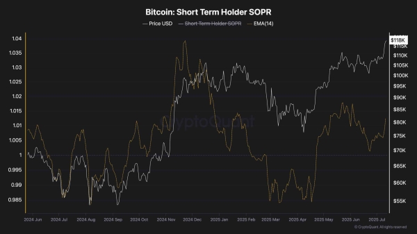 Bitcoin Price Analysis: Is a Correction Coming or Will BTC Break $120K Next?2